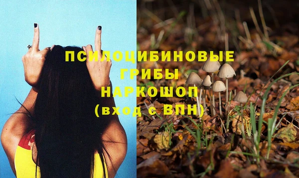 кристаллы Алексин